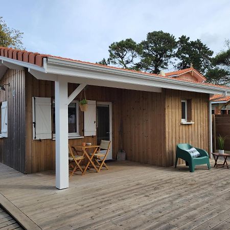 La Cabane De L'Estran Au Bord De Mer Lanton Esterno foto